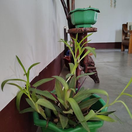 Gayatri Homestay Dibrugarh Luaran gambar